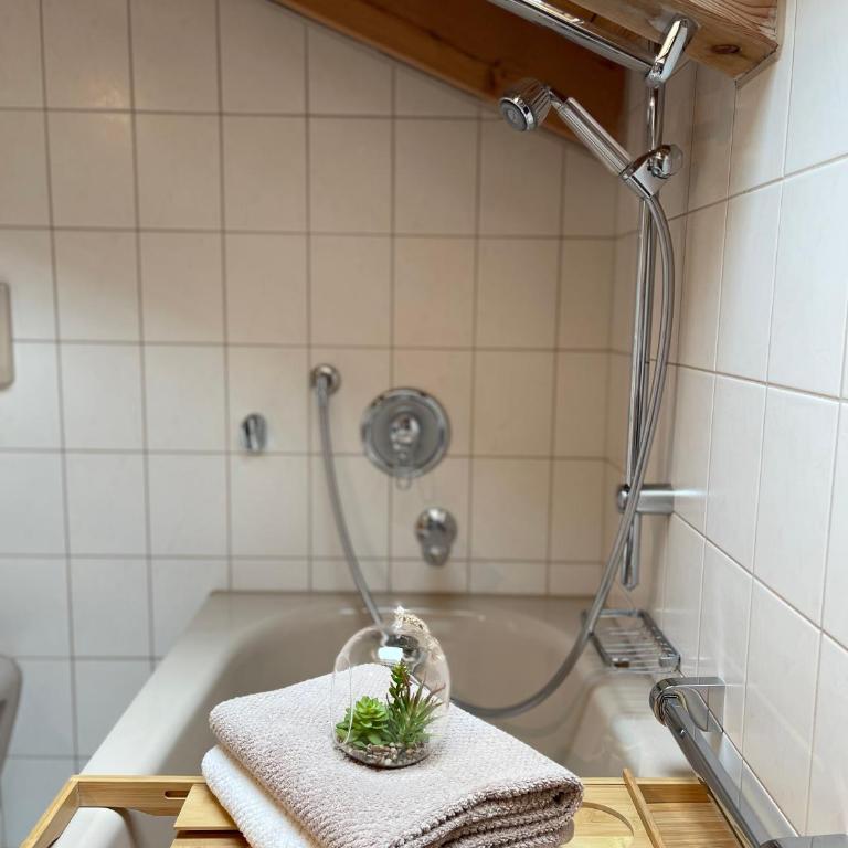 Haus Sonnenwinkel 2-Raum-Wohnung Großer Ochsenkopf - Appartamento con Balcone - 11