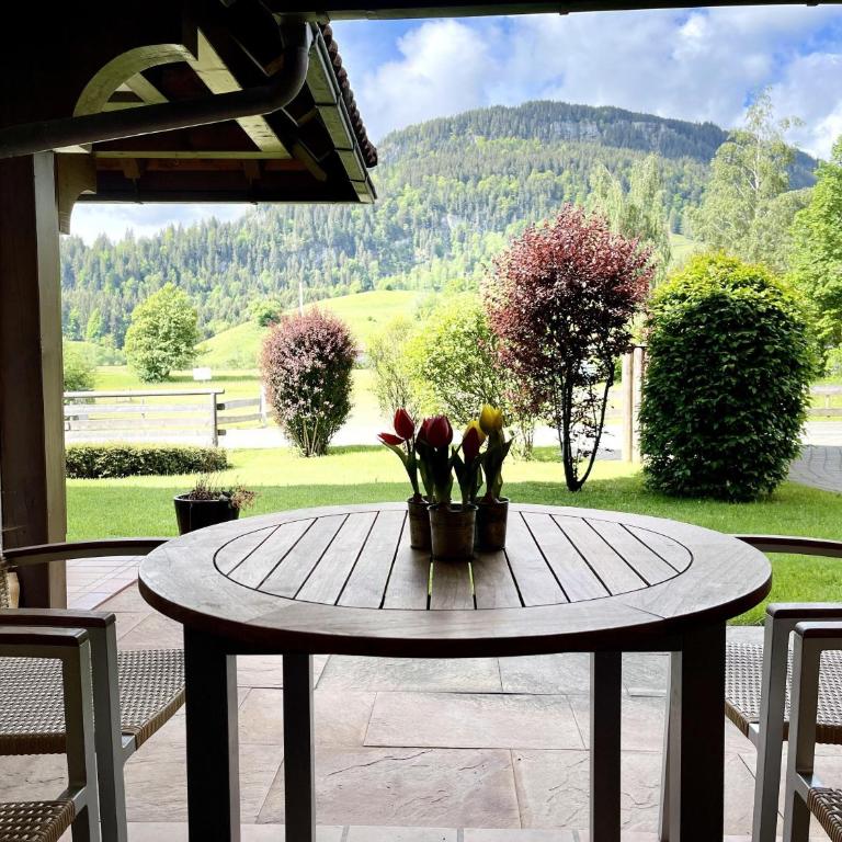 Haus Sonnenwinkel 2-Raum-Wohnung Schaffner - Apartment mit Terrasse - 1