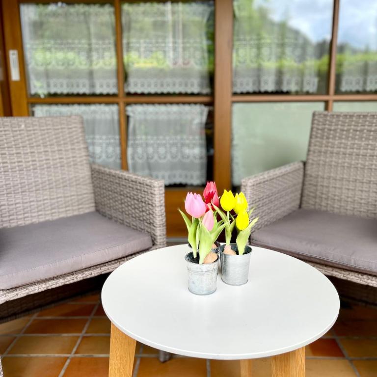 Haus Sonnenwinkel 2-Raum-Wohnung Amelie - Appartamento con Terrazza - 8