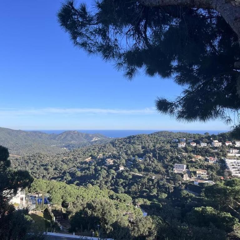 Villa Serra Brava 18 Personen - Apartamento - 35