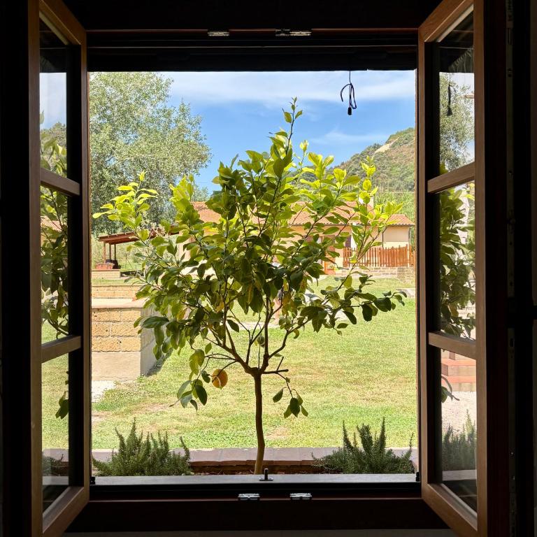 Podere Il Ritorno - Camera Matrimoniale con Patio - 3