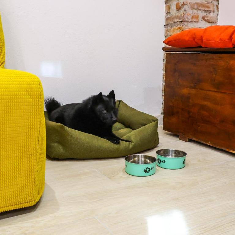 Trastevere Liliana house for 3, Pet & Family - Appartamento con 1 Camera da Letto - 28