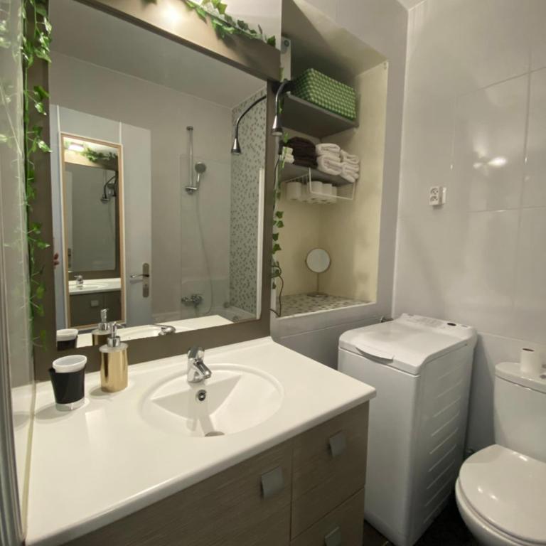 Joli appartement à 5 minutes du palais et plages - Appartement 1 Chambre - 7