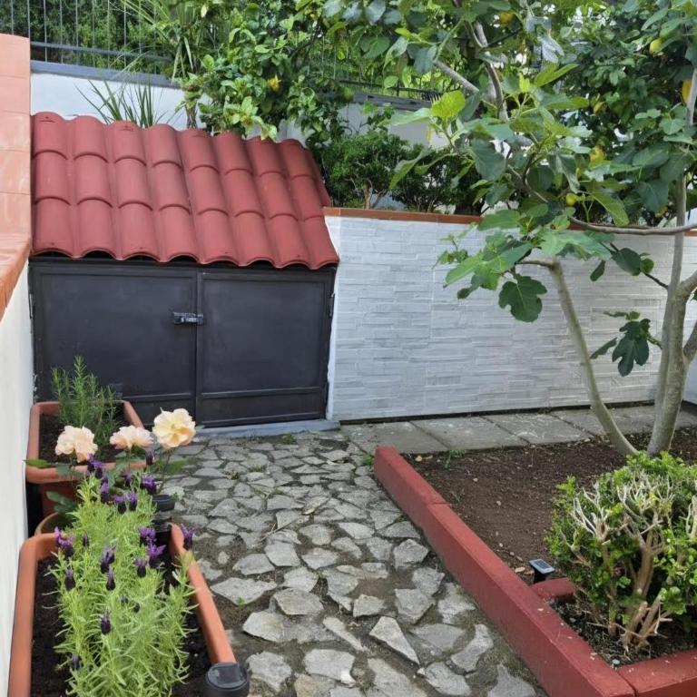 La Palma del Cilento - One-Bedroom Apartment - 8