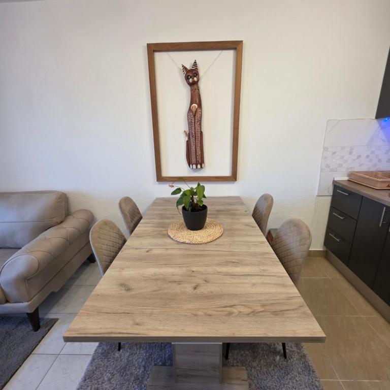 Apartmani Komatina Đenovići 2 - Apartman sa 1 Spavaćom Sobom - 9