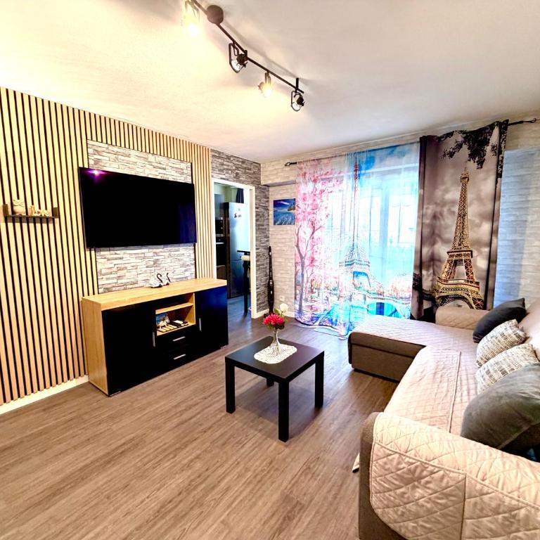 studio city center beach side free paddle beautiful terrace - Appartement 1 Chambre - 2