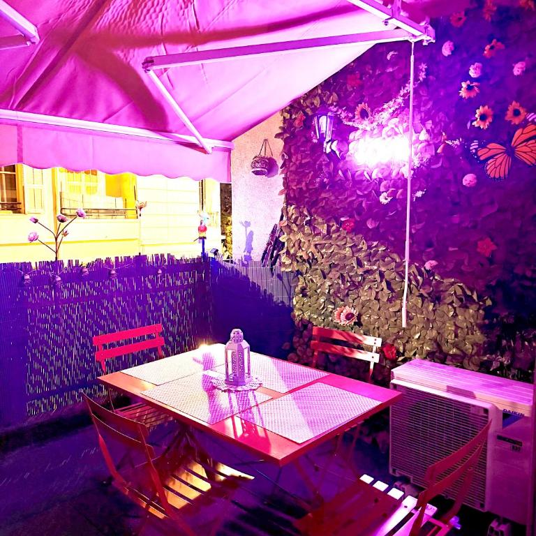 studio city center beach side free paddle beautiful terrace - Appartement 1 Chambre - 7