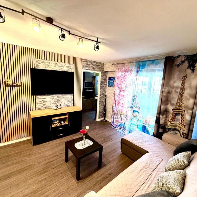 studio city center beach side free paddle beautiful terrace - Appartement 1 Chambre - 40