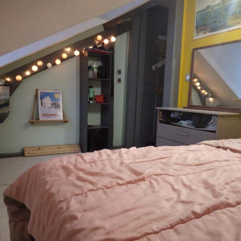 Petite chambre chez l'habitant - Appartamento con 1 Camera da Letto - 4