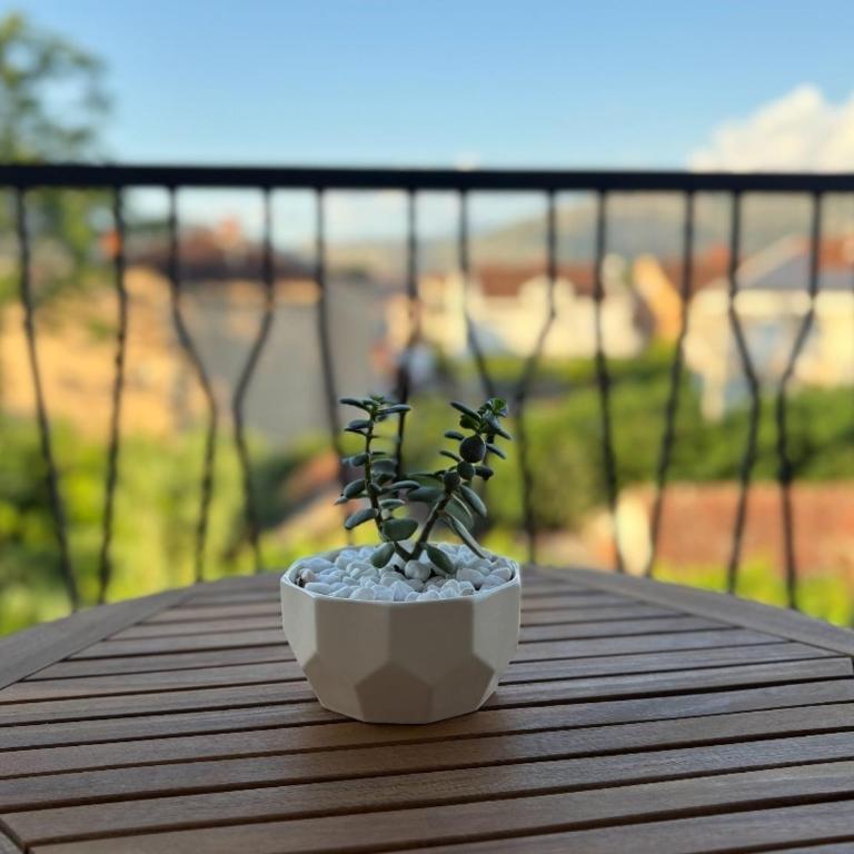 D&M Lux2 - Apartman sa Terasom - 12