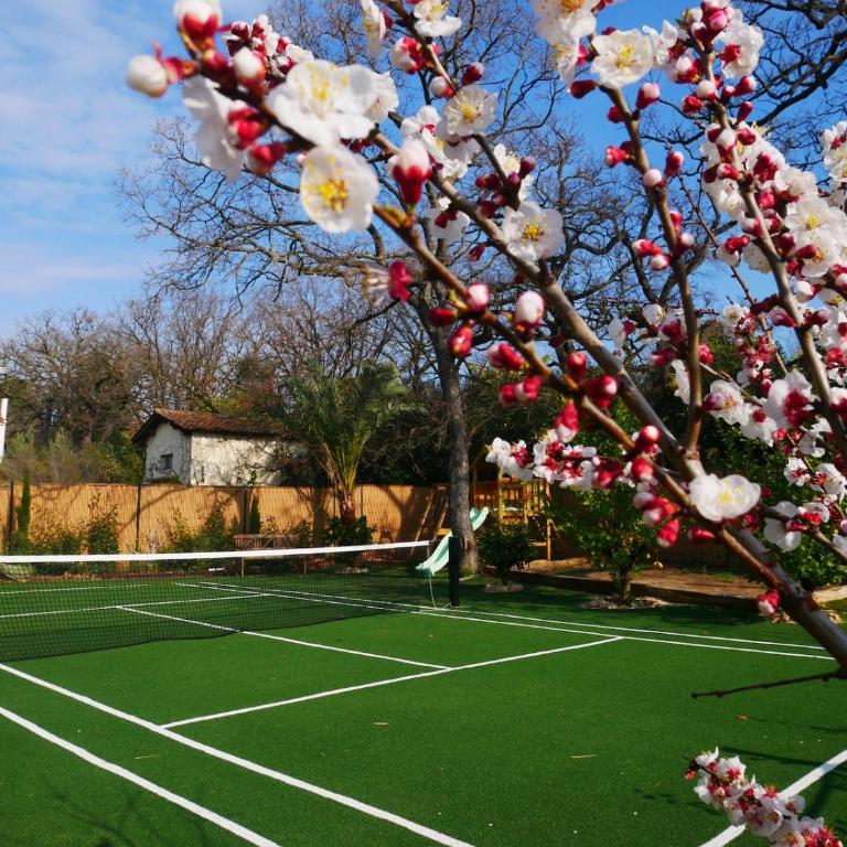 L'Échappée Belle - Private Pool, Spa, Tennis & Golf - Apartamento de 2 dormitorios - 68