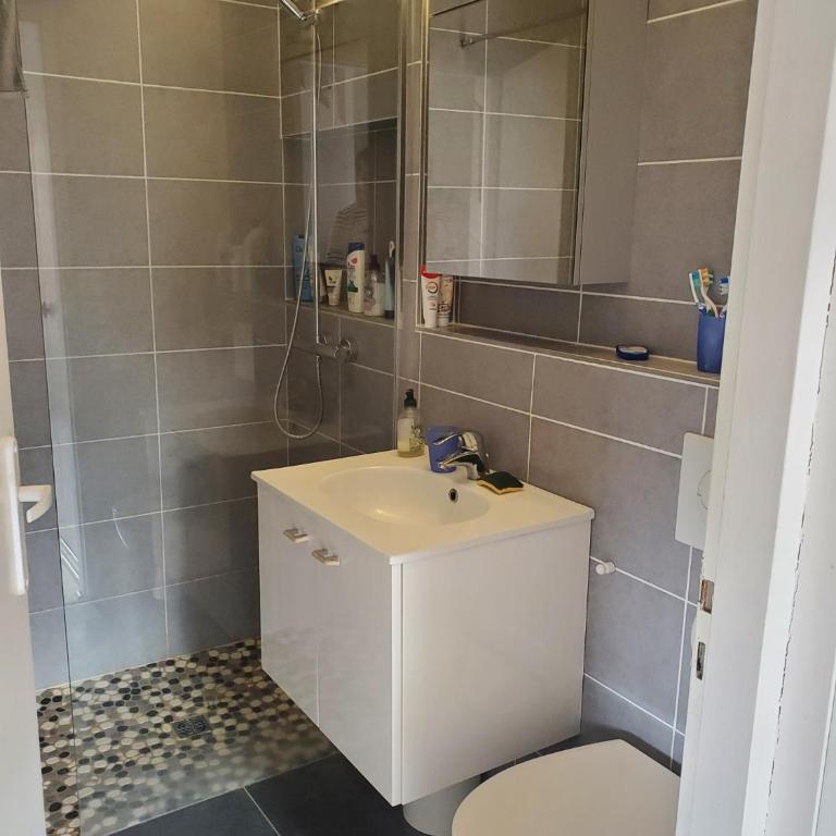 la petite maison des Abatilles - Haus mit 2 Schlafzimmern - 11