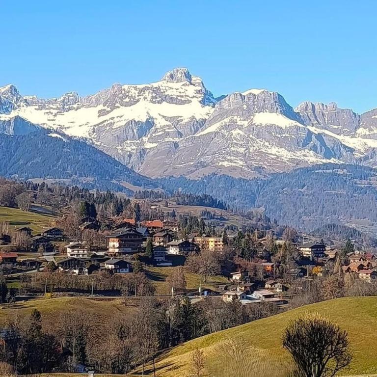 Chalet de Capucine avec jacuzzi et magnifique vue - Chalet 1 Chambre - 20
