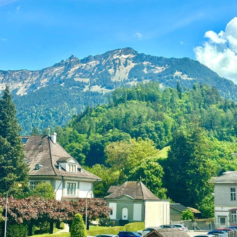 Heyko Holiday Interlaken - Deluxe Apartment mit 1 Schlafzimmer - 1