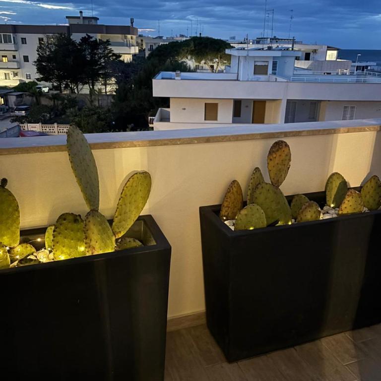 Sale - Appartamento con 1 Camera da Letto - 18