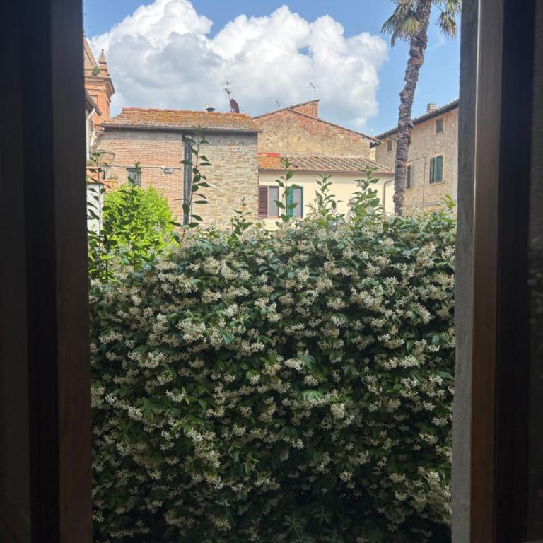 Vicolo dell'Orto - Casa con 1 Camera da Letto - 8