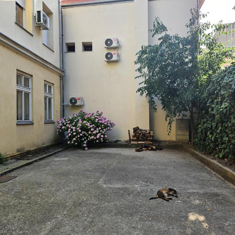 Top Apartment Old Town Mostar - Apartment mit 1 Schlafzimmer - 25