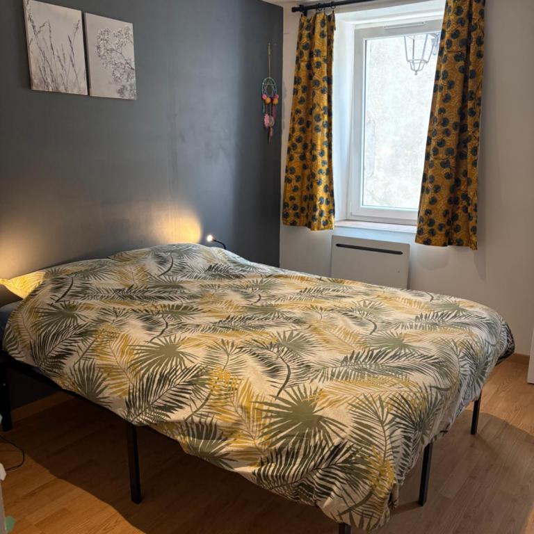 Le Nidou - Appartement 1 Chambre - 21