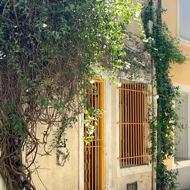 Cosy Yellow House in La Roquette, city center - Apartamento de 1 dormitorio - 8
