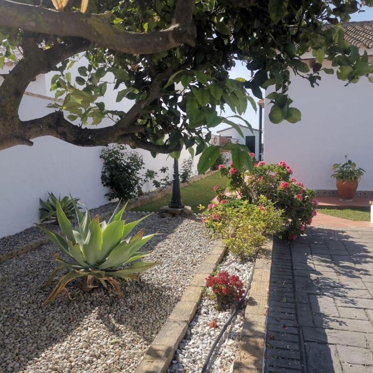 Casa la gitanilla - Maison 2 Chambres - 34