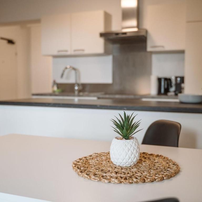 Wilten 1 - Apartment mit 3 Schlafzimmern - 1