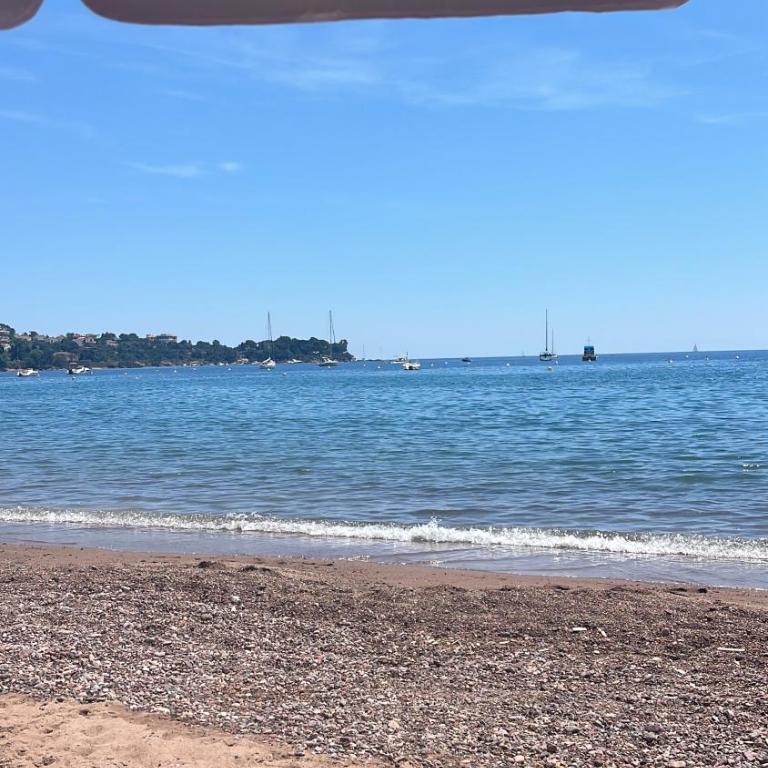Magnifique appartement petit havre de paix Frejus - Appartamento con 1 Camera da Letto - 3