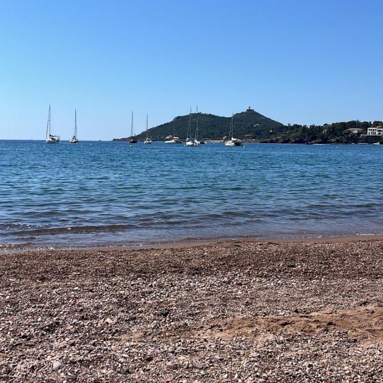 Magnifique appartement petit havre de paix Frejus - Appartamento con 1 Camera da Letto - 2