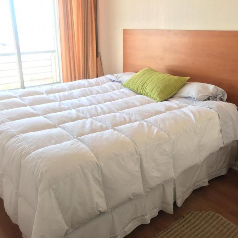 Frente a Mall plaza - Apartamento de 1 dormitorio - 11