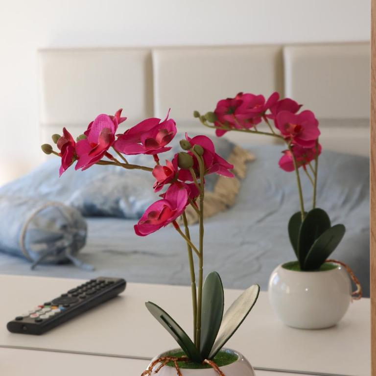 Milla Luxury Apartment - One-Bedroom Apartment - 1