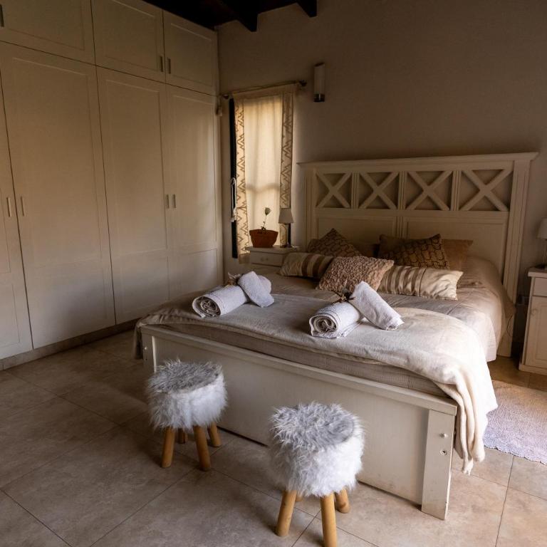 Casa Andina Chacras De Coria, con viñedo y jacuzzi - Casa de 2 dormitorios - 61