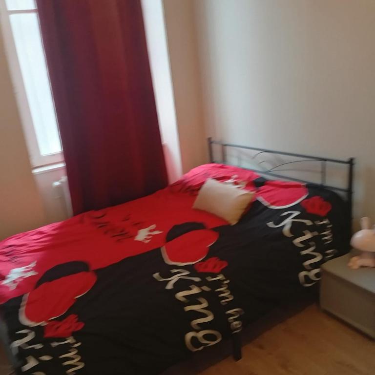 appartement sympa calme au centre - Appartamento con 2 Camere da Letto - 8