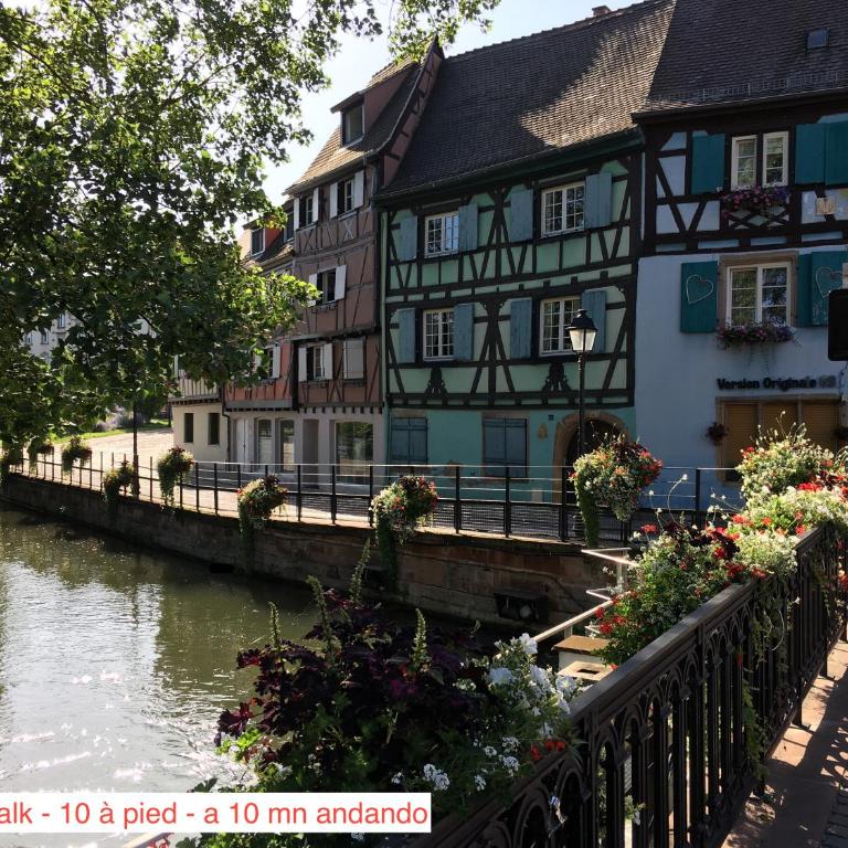 La Maison de Vacances de Colmar et son jardin - Casa con 3 Camere da Letto - 35