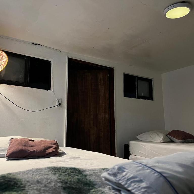 Búnker Maca - Cama individual en habitación compartida - 2