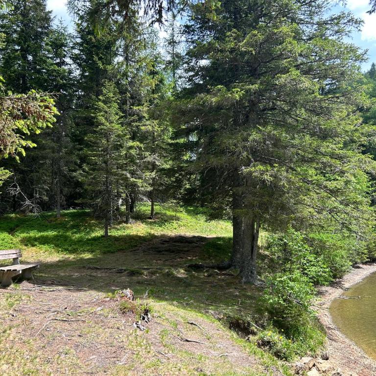 Mountainview Flattnitz - Haus mit 2 Schlafzimmern - 40