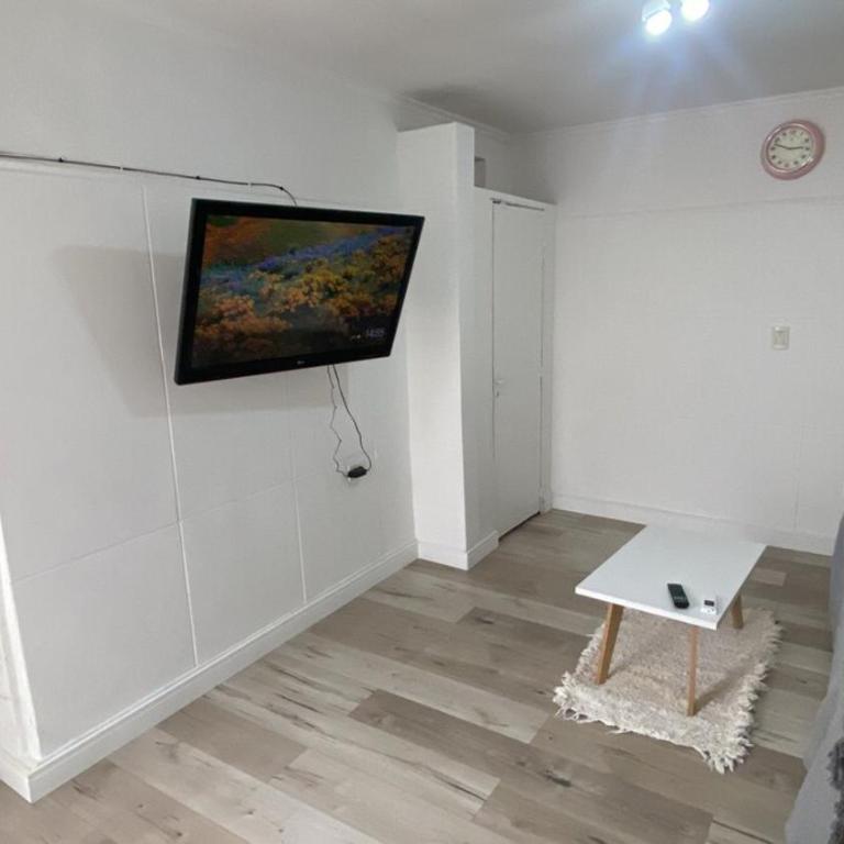 Céntrico, renovado y amplio Dto - Apartamento de 1 dormitorio - 2