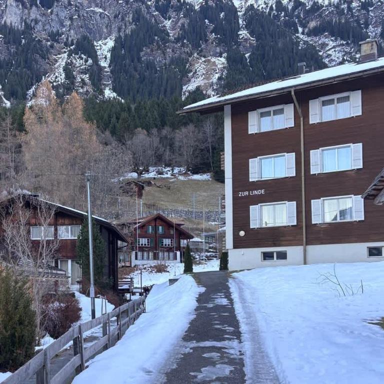 Chalet Zur Linde - Ski-in&out - Wengen - 8 guests - Apartment - 16