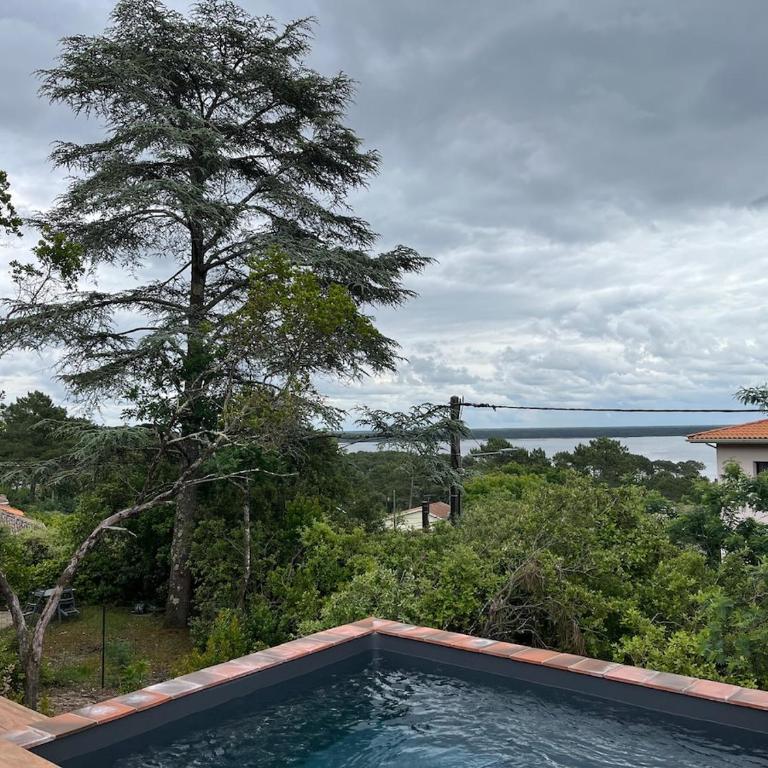 Panoramic Water Tower and Perched Cabin - Villa - 20