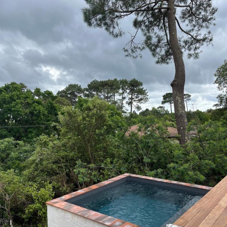Panoramic Water Tower and Perched Cabin - Villa - 36