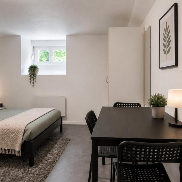 DeLuxe Studio, Naturellement Frais, Parking Privé Gratuit, MULHOUSE CENTRE - Estudio Deluxe - 5