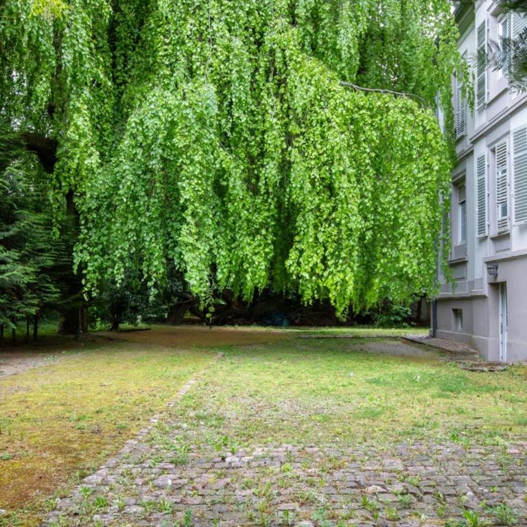 DeLuxe Studio, Naturellement Frais, Parking Privé Gratuit, MULHOUSE CENTRE - Estudio Deluxe - 11