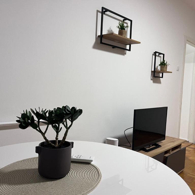Confluence Apartment - Apartment mit 1 Schlafzimmer - 3