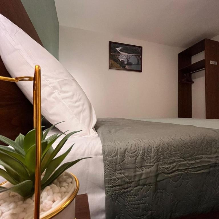CASA PRIMIUM CERCA DE GNP, Zócalo, AICM - Casa - 24