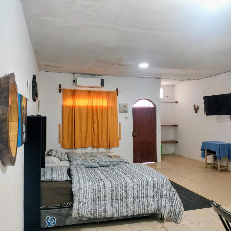 Casona San Martín -Iquitos - Apartamento de 1 dormitorio con vistas a la ciudad - 2