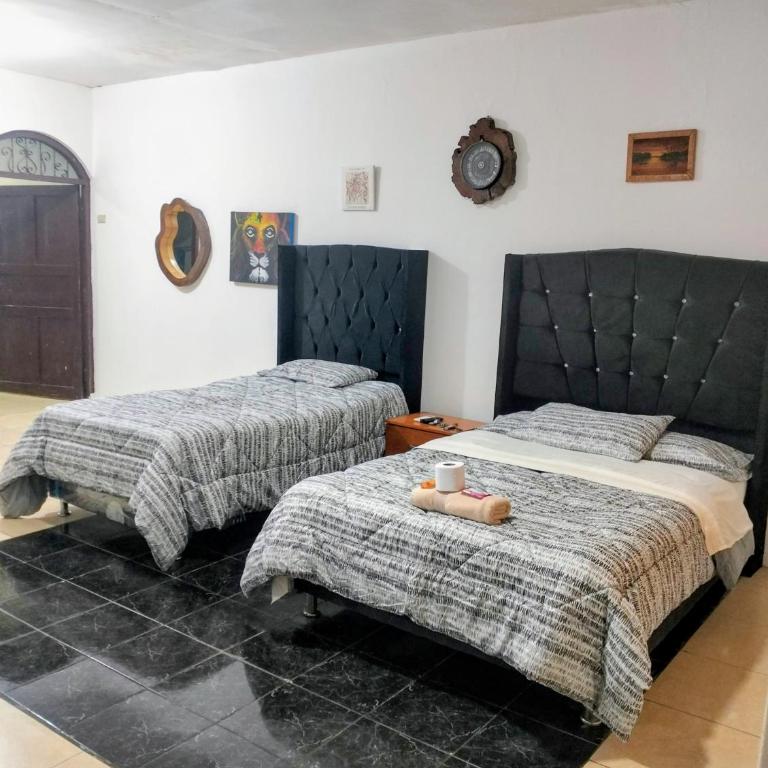 Casona San Martín -Iquitos - Apartamento de 1 dormitorio con vistas a la ciudad - 6
