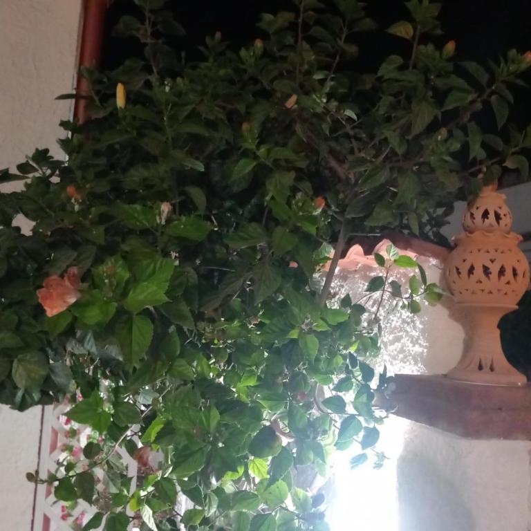 TOLUAMMARE Sicily - Ferienhaus - 3