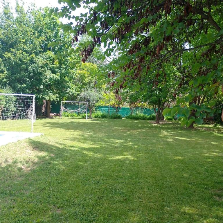 Casa los Pinos - One-Bedroom House - 9