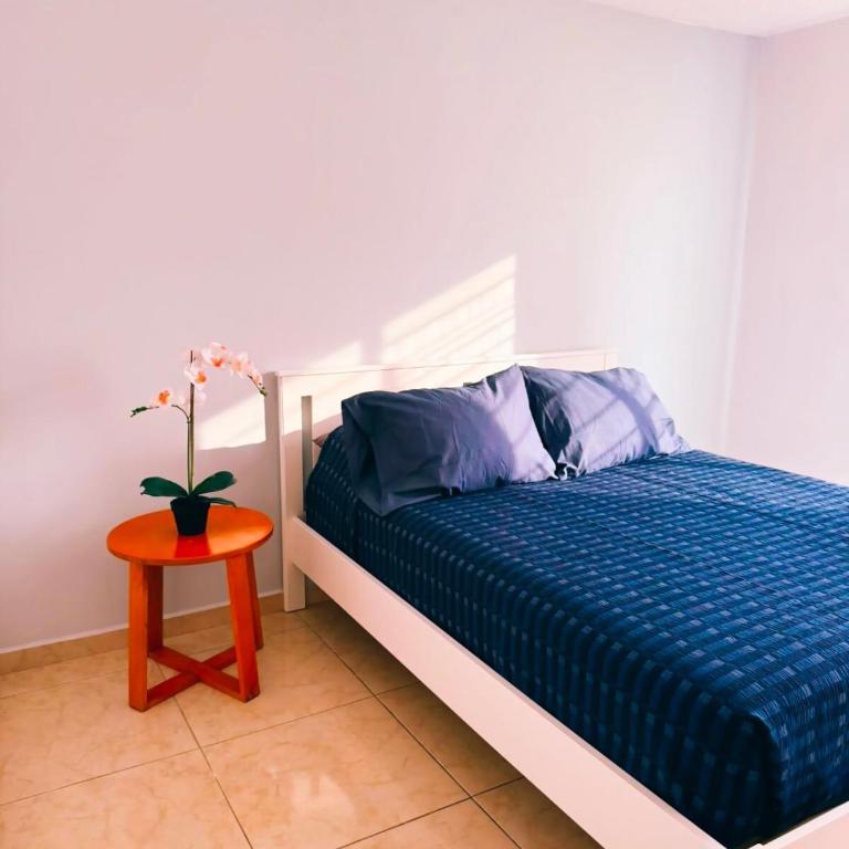 Departamento Coco Guadalajara - Apartamento de 2 dormitorios - 5