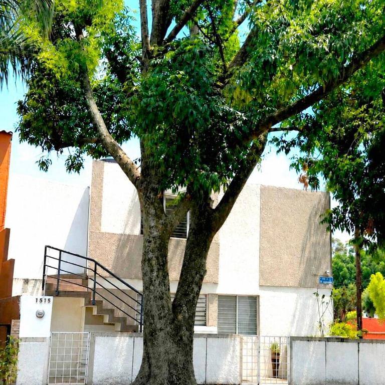 Departamento Coco Guadalajara - Apartamento de 2 dormitorios - 12