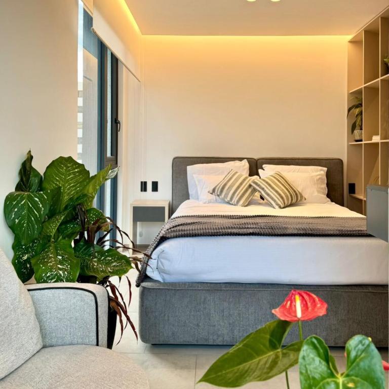 Luxury studio with balcony Avenida Portugal Quito - Apartamento de 1 dormitorio - 1