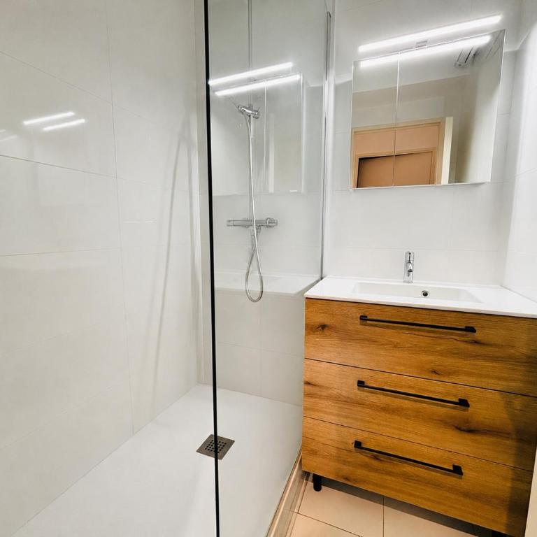 Appartement au Port d'Argelès, aperçu mer - FR-1-309-584 - Appartement - 9